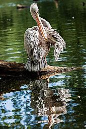 《守望先锋：归来》新限时模式“奥林匹斯之战” 1月5日上线